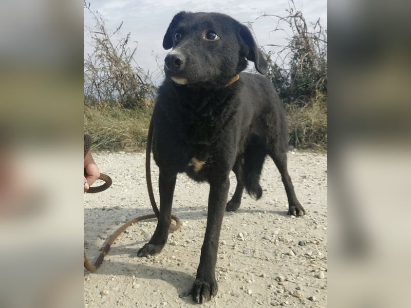 Sofia ein Engel mit gebrochenen Flügeln