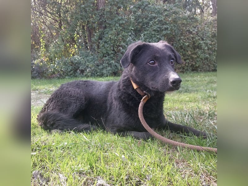 Sofia ein Engel mit gebrochenen Flügeln