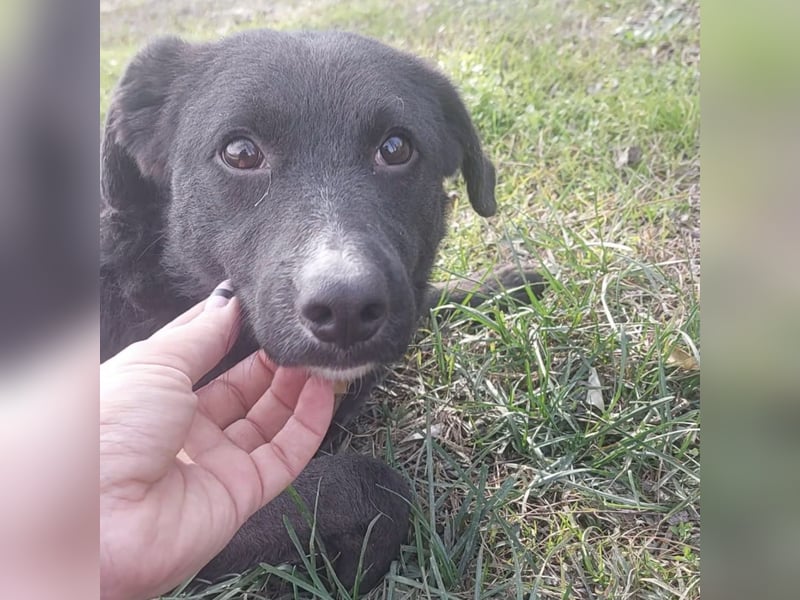 Sofia ein Engel mit gebrochenen Flügeln