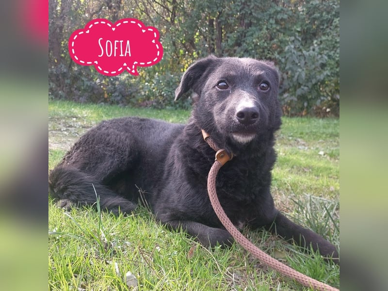 Sofia ein Engel mit gebrochenen Flügeln