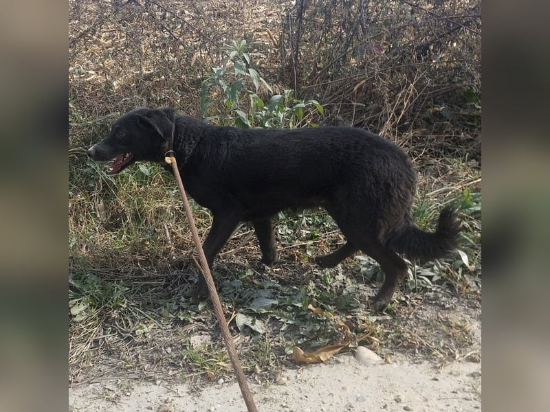 Sofia ein Engel mit gebrochenen Flügeln