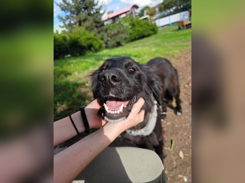 Hübsche Niculina sucht ihr Zuhause