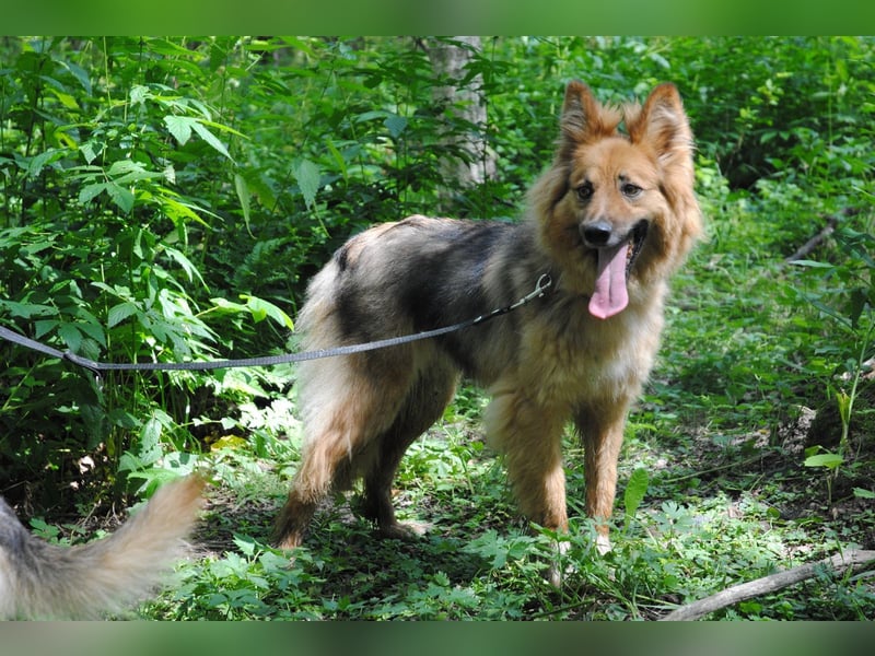 Ein richtiger Hund für Dich, Leon Ein richtiger Hund für Dich, Leon