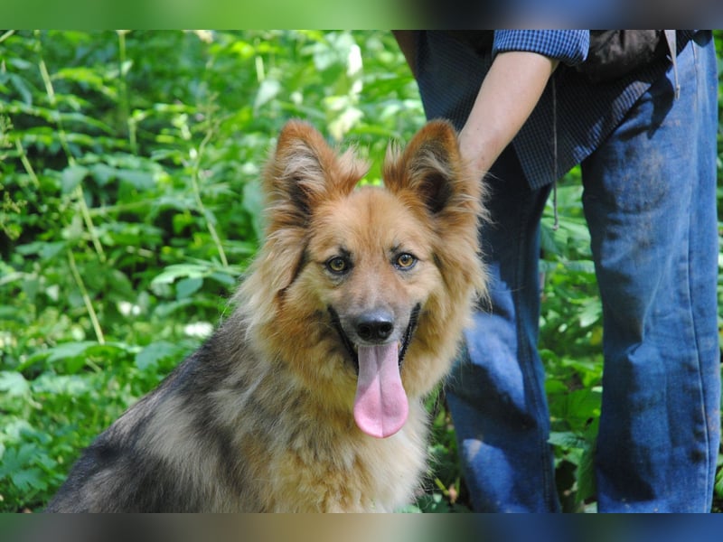 Ein richtiger Hund für Dich, Leon Ein richtiger Hund für Dich, Leon