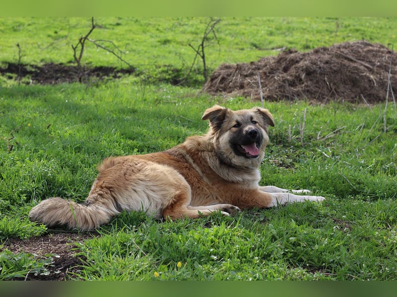 Knuffige Arika sucht ihre eigene Familie