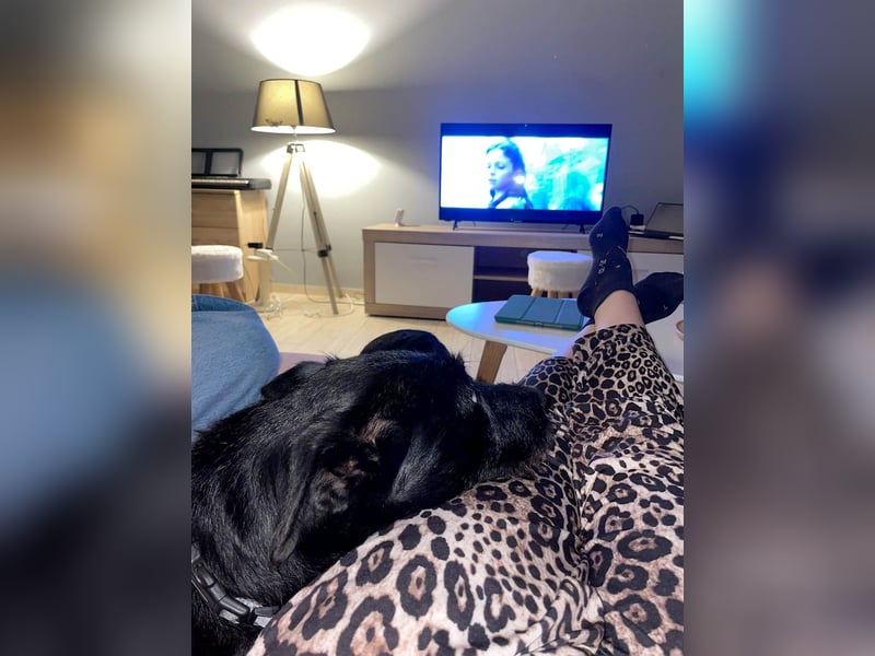 Verschmuster Korn sucht liebe Familie