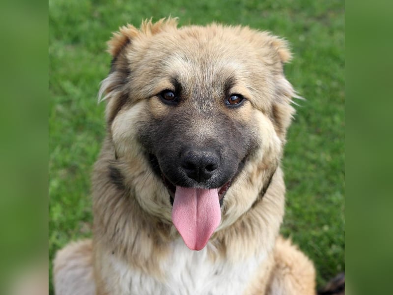 Knuffige Arika sucht ihre eigene Familie