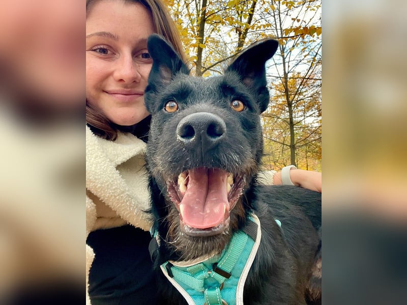 Verschmuster Korn sucht liebe Familie