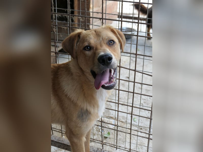 Eddy so süß und aufgeweckt sucht seine menschen