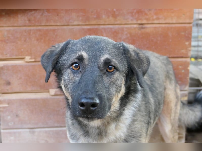 Tommy sucht seine Menschen