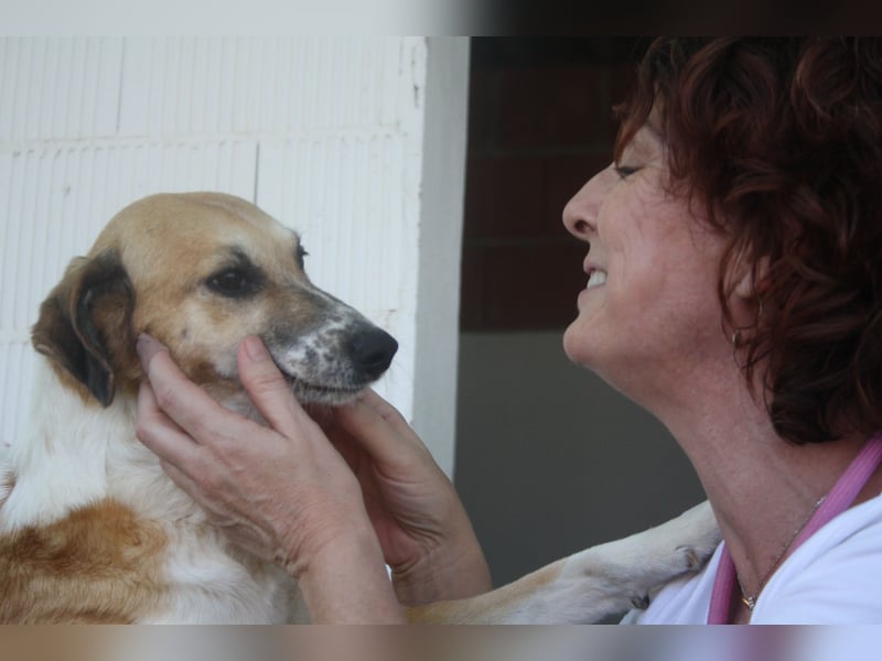 MELVA-neugierige, offene, gesellige Schönheit sucht ihr liebevolles "Für-immer-Zuhause" MELVA-neugierige, offene, gesellige Schönheit sucht ihr liebevolles "Für-immer-Zuhause"