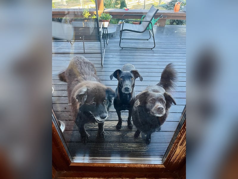 Wunderschöne Mai sucht ihre Familie Wunderschöne Mai sucht ihre Familie