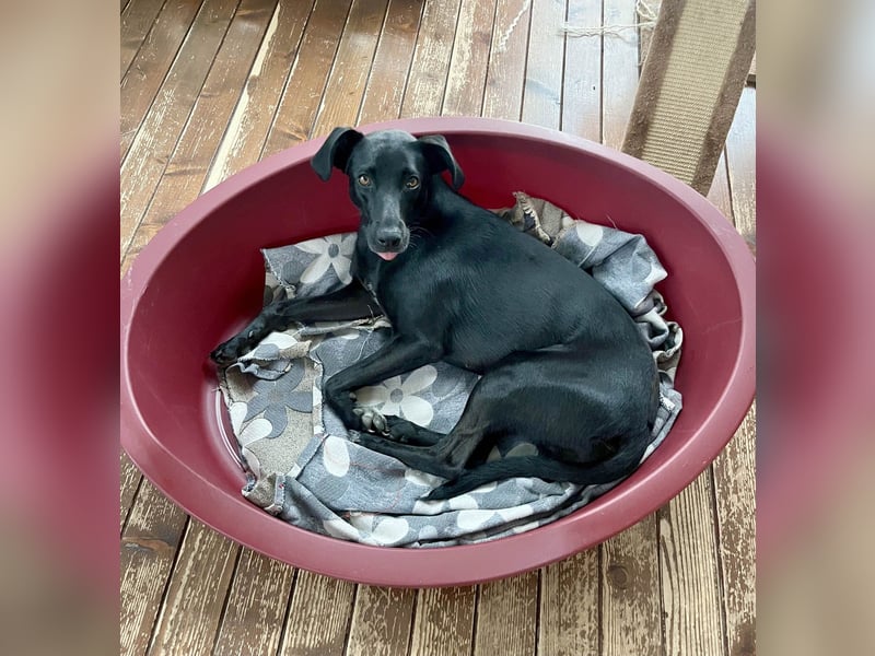 Wunderschöne Mai sucht ihre Familie Wunderschöne Mai sucht ihre Familie