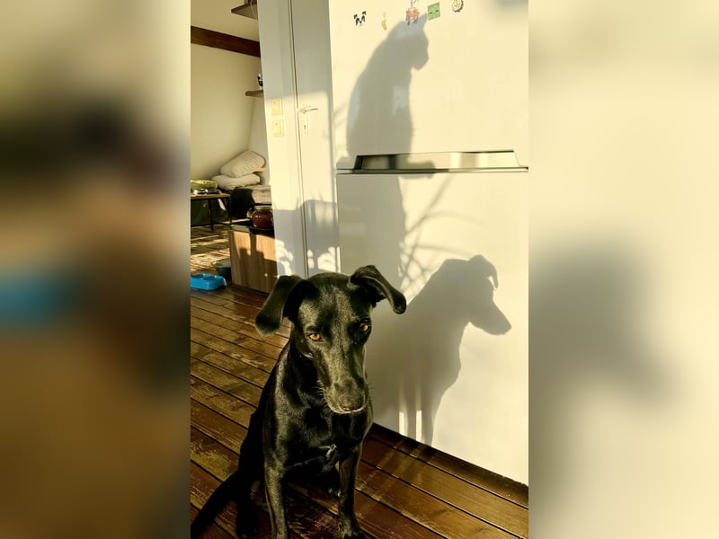 Wunderschöne Mai sucht ihre Familie Wunderschöne Mai sucht ihre Familie