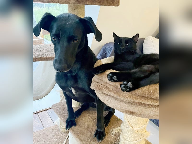 Wunderschöne Mai sucht ihre Familie Wunderschöne Mai sucht ihre Familie