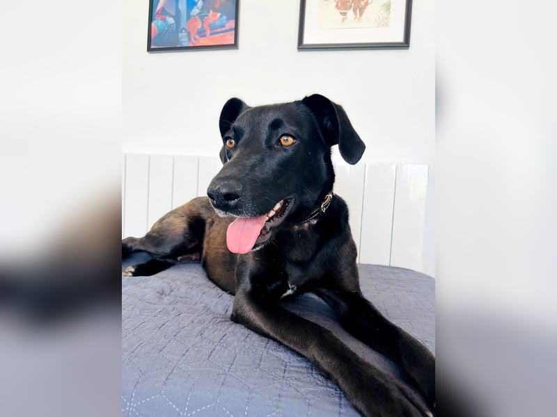 Wunderschöne Mai sucht ihre Familie Wunderschöne Mai sucht ihre Familie