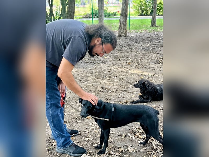 Wunderschöne Mai sucht ihre Familie Wunderschöne Mai sucht ihre Familie