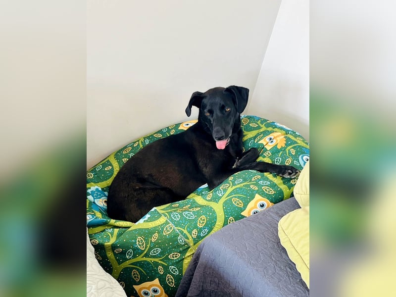 Wunderschöne Mai sucht ihre Familie Wunderschöne Mai sucht ihre Familie