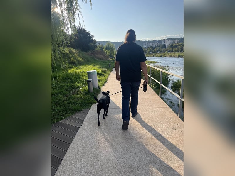 Wunderschöne Mai sucht ihre Familie Wunderschöne Mai sucht ihre Familie