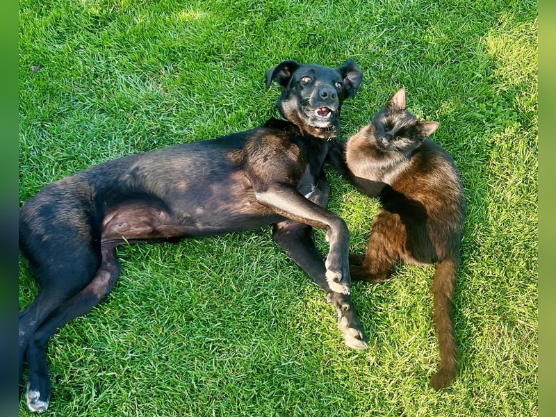 Wunderschöne Mai sucht ihre Familie Wunderschöne Mai sucht ihre Familie