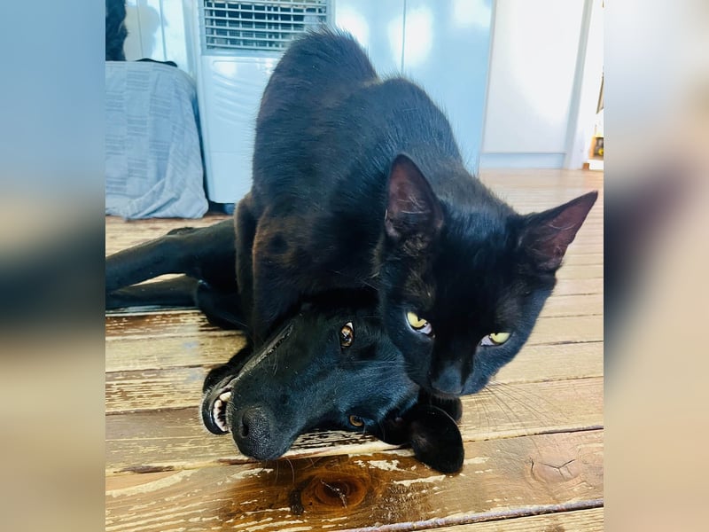 Wunderschöne Mai sucht ihre Familie Wunderschöne Mai sucht ihre Familie