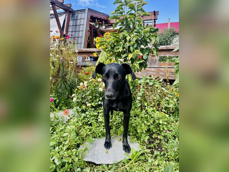 Wunderschöne Mai sucht ihre Familie Wunderschöne Mai sucht ihre Familie