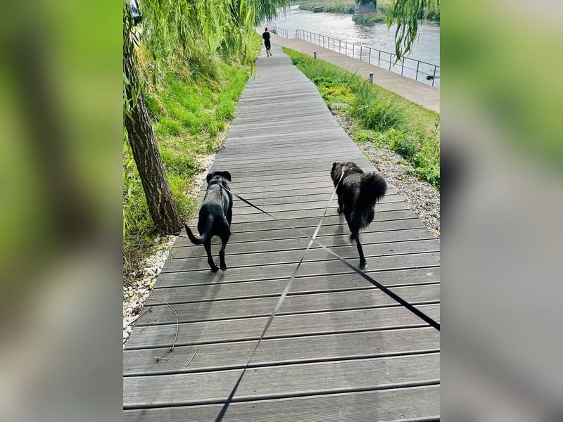 Wunderschöne Mai sucht ihre Familie Wunderschöne Mai sucht ihre Familie