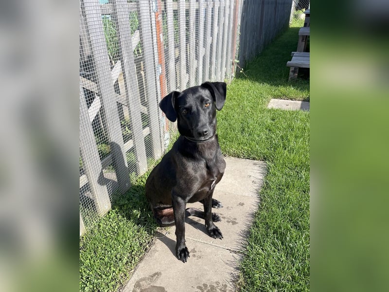 Wunderschöne Mai sucht ihre Familie Wunderschöne Mai sucht ihre Familie