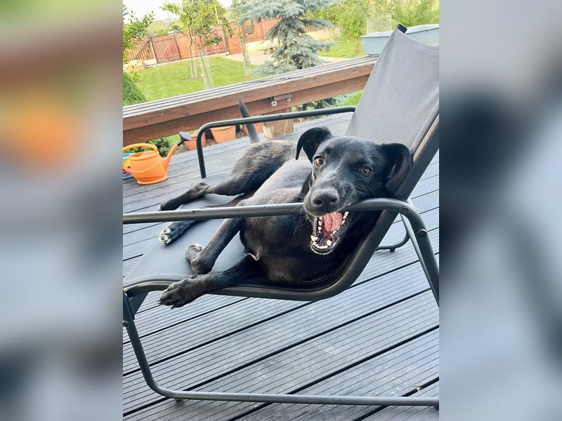 Wunderschöne Mai sucht ihre Familie Wunderschöne Mai sucht ihre Familie