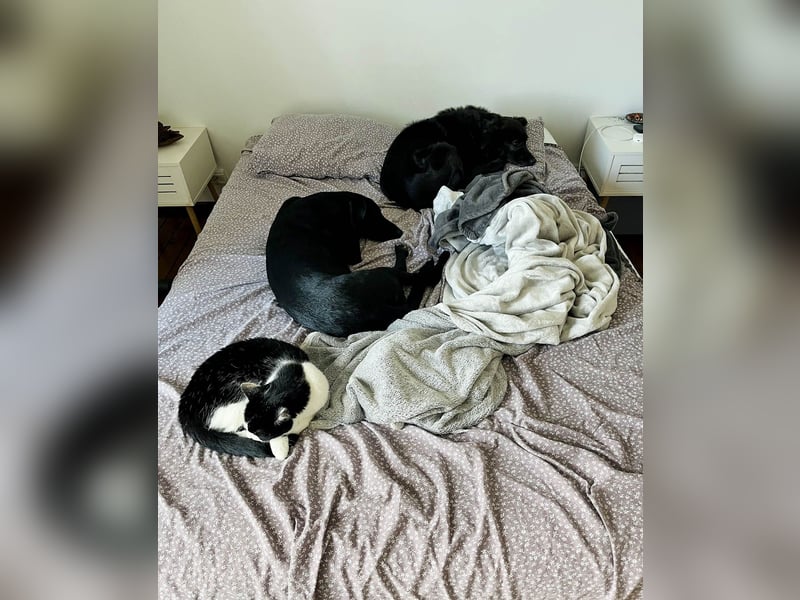 Wunderschöne Mai sucht ihre Familie Wunderschöne Mai sucht ihre Familie