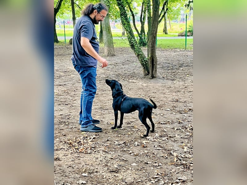 Wunderschöne Mai sucht ihre Familie Wunderschöne Mai sucht ihre Familie
