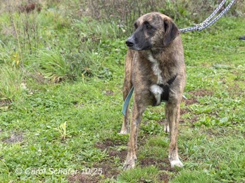 Luke ist ein lieber Kerl Luke ist ein lieber Kerl