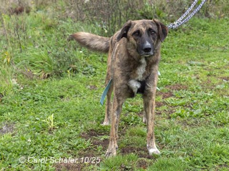 Luke ist ein lieber Kerl Luke ist ein lieber Kerl