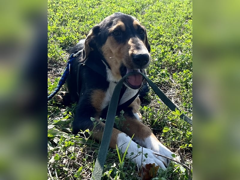 Tilda - ein kleines Energiebündel