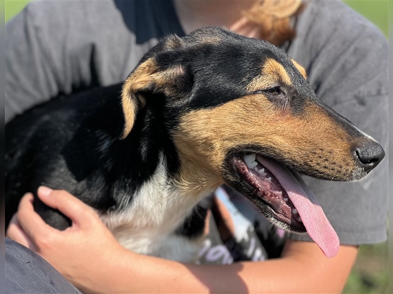 Tilda - ein kleines Energiebündel