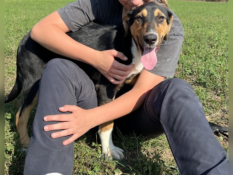 Tilda - ein kleines Energiebündel