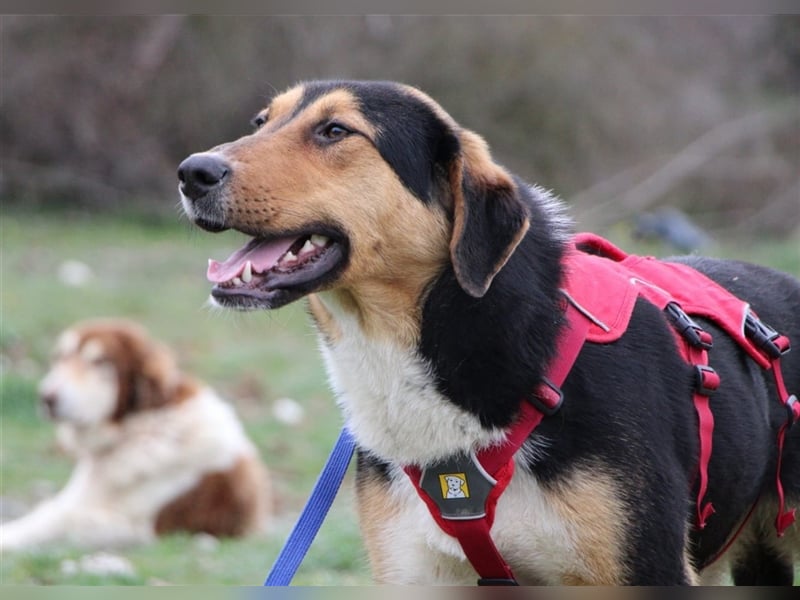 Tilda - ein kleines Energiebündel