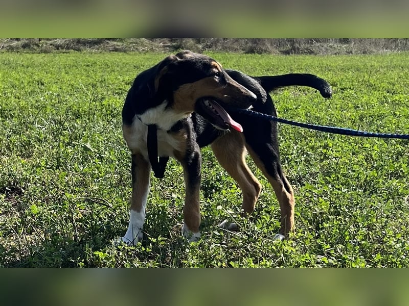 Tilda - ein kleines Energiebündel