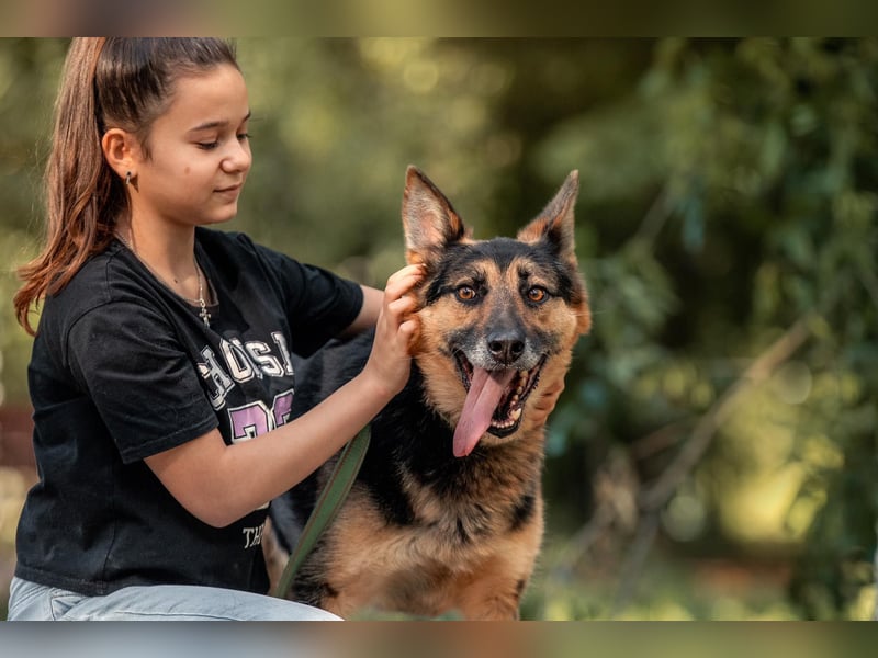 Aktiver Vegas sucht liebevolles Zuhause