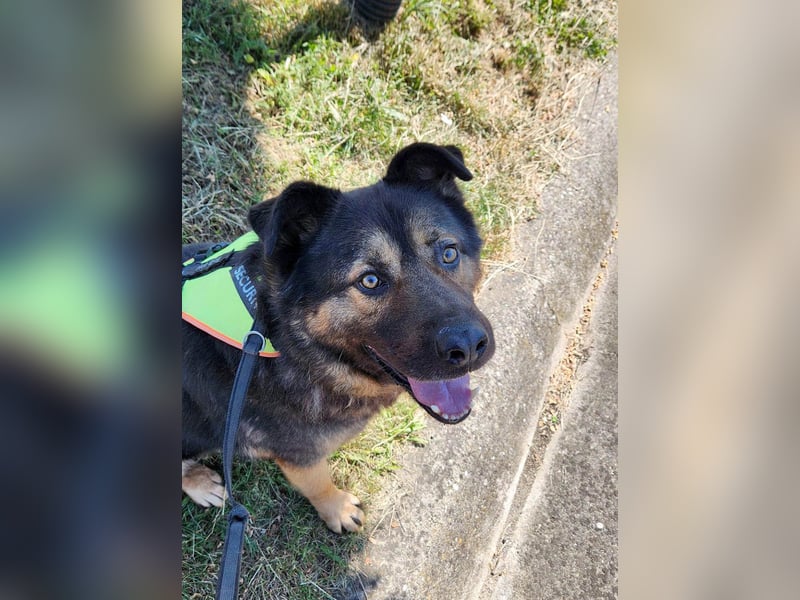 Findet Rumple  trotz seines Alters noch ein Zuhause?