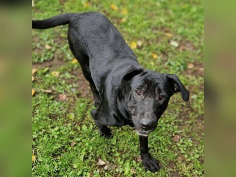 MARA möchte deine Freundin sein