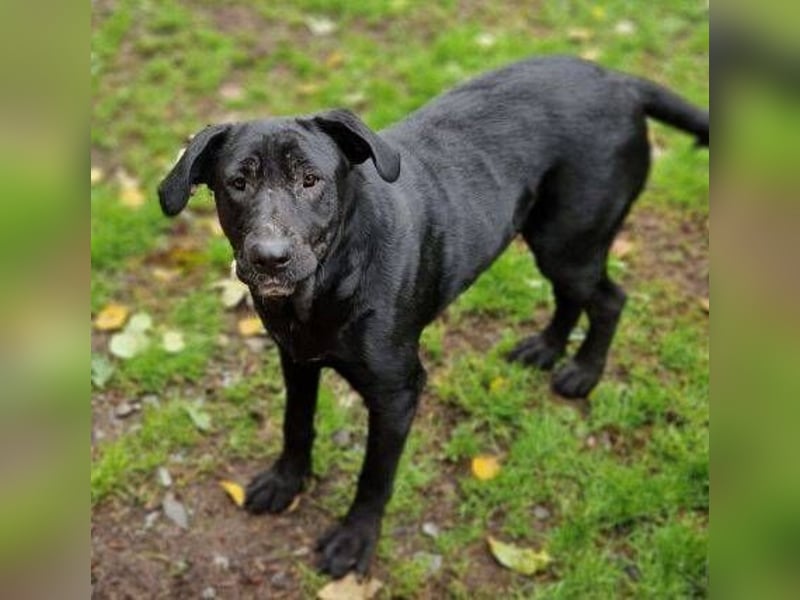 MARA möchte deine Freundin sein