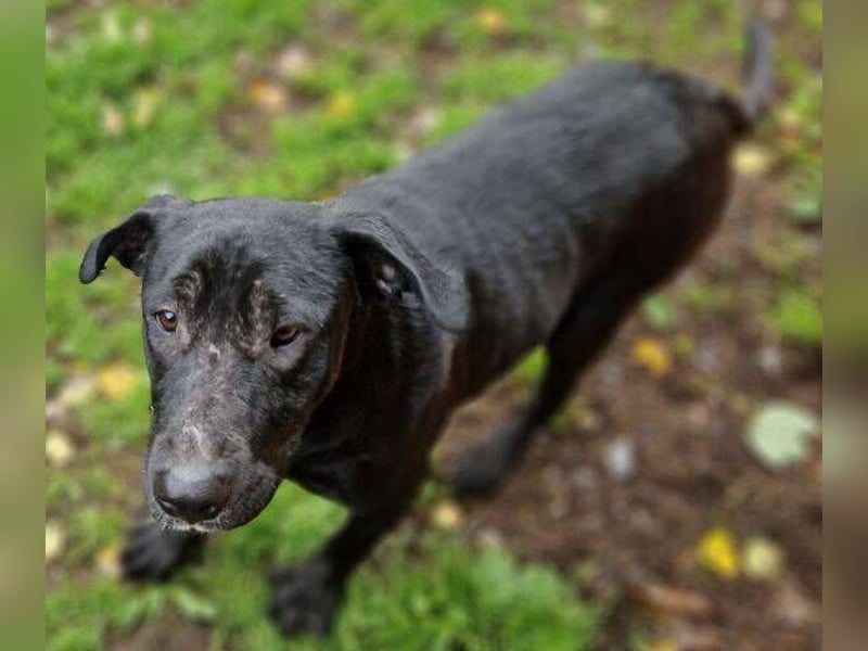 MARA möchte deine Freundin sein