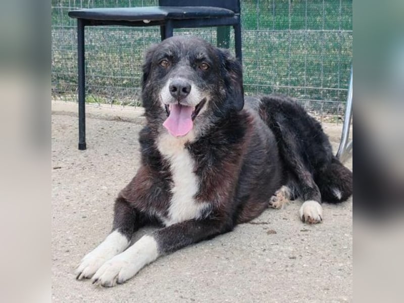 SCARLET sehnt sich so nach Liebe