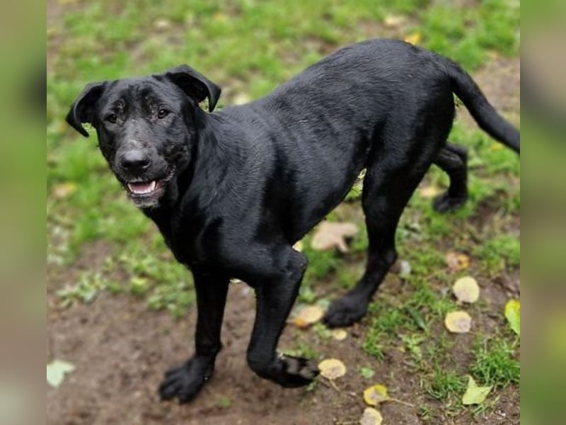 MARA möchte deine Freundin sein