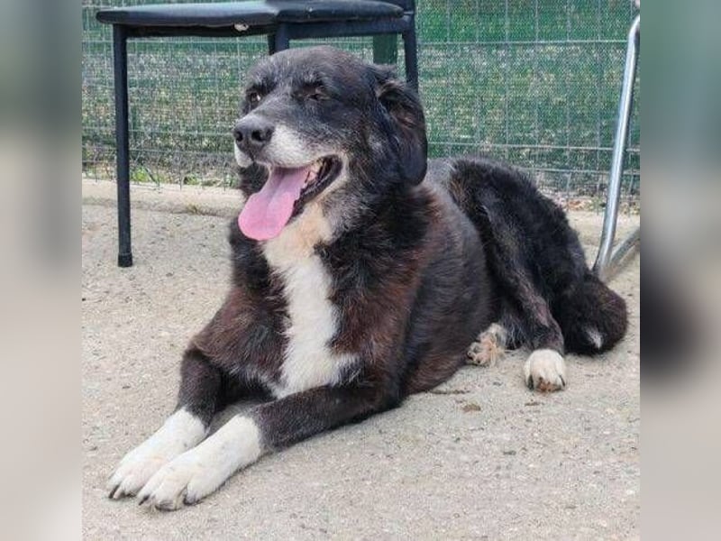 SCARLET sehnt sich so nach Liebe