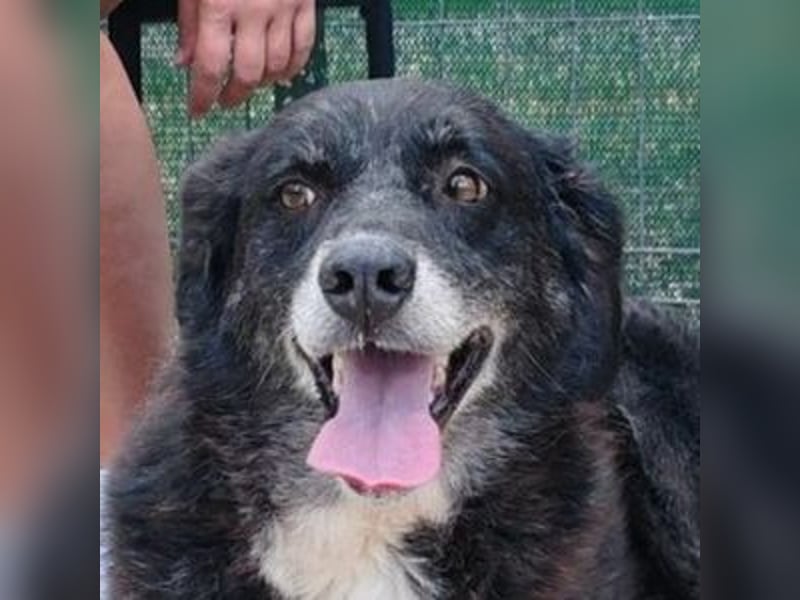 SCARLET sehnt sich so nach Liebe