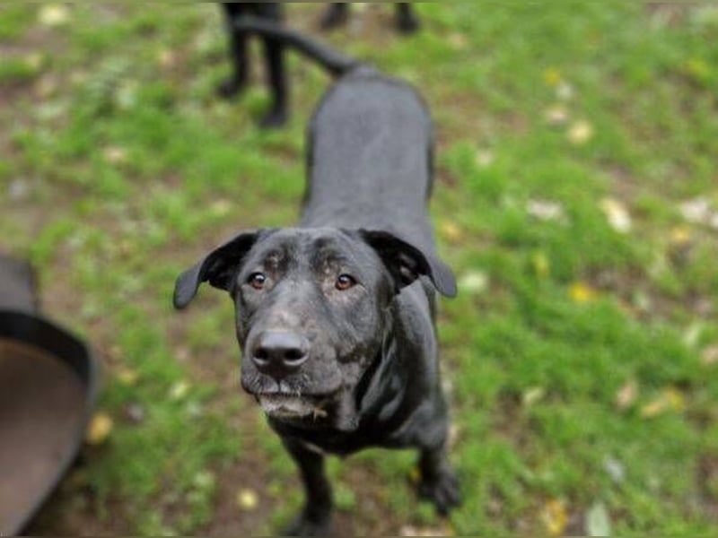 MARA möchte deine Freundin sein