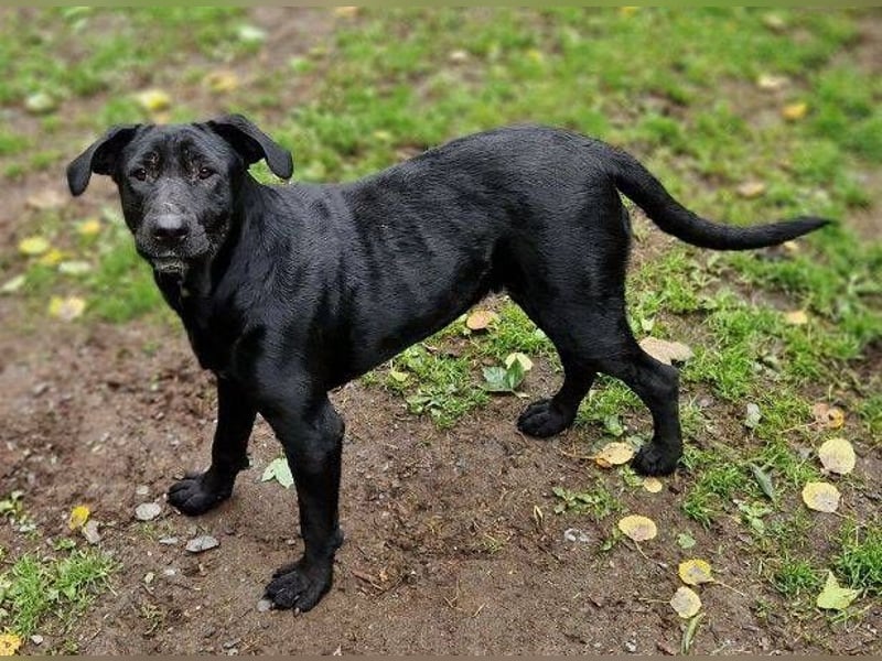 MARA möchte deine Freundin sein