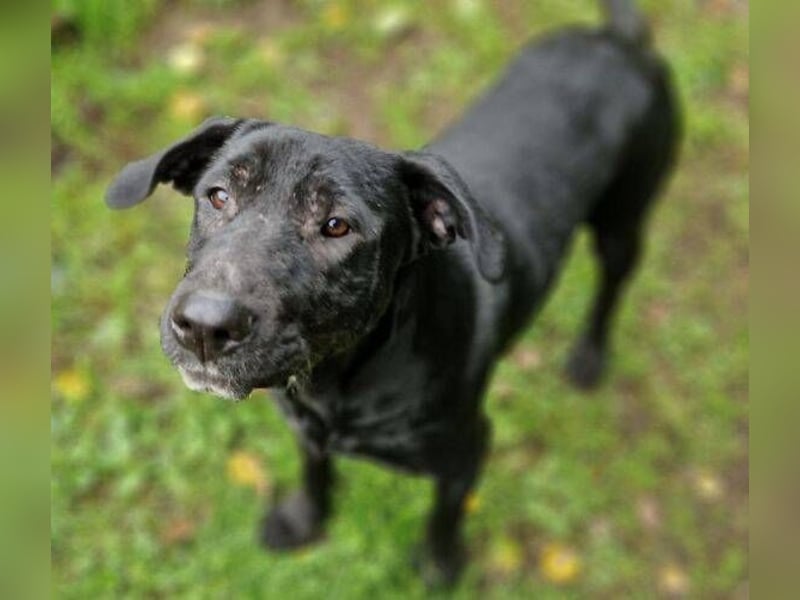 MARA möchte deine Freundin sein